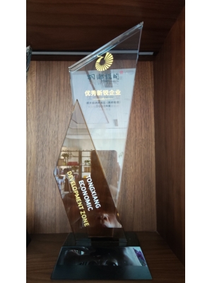 桐鄉經濟開發區(高橋街道) 優秀新銳企業